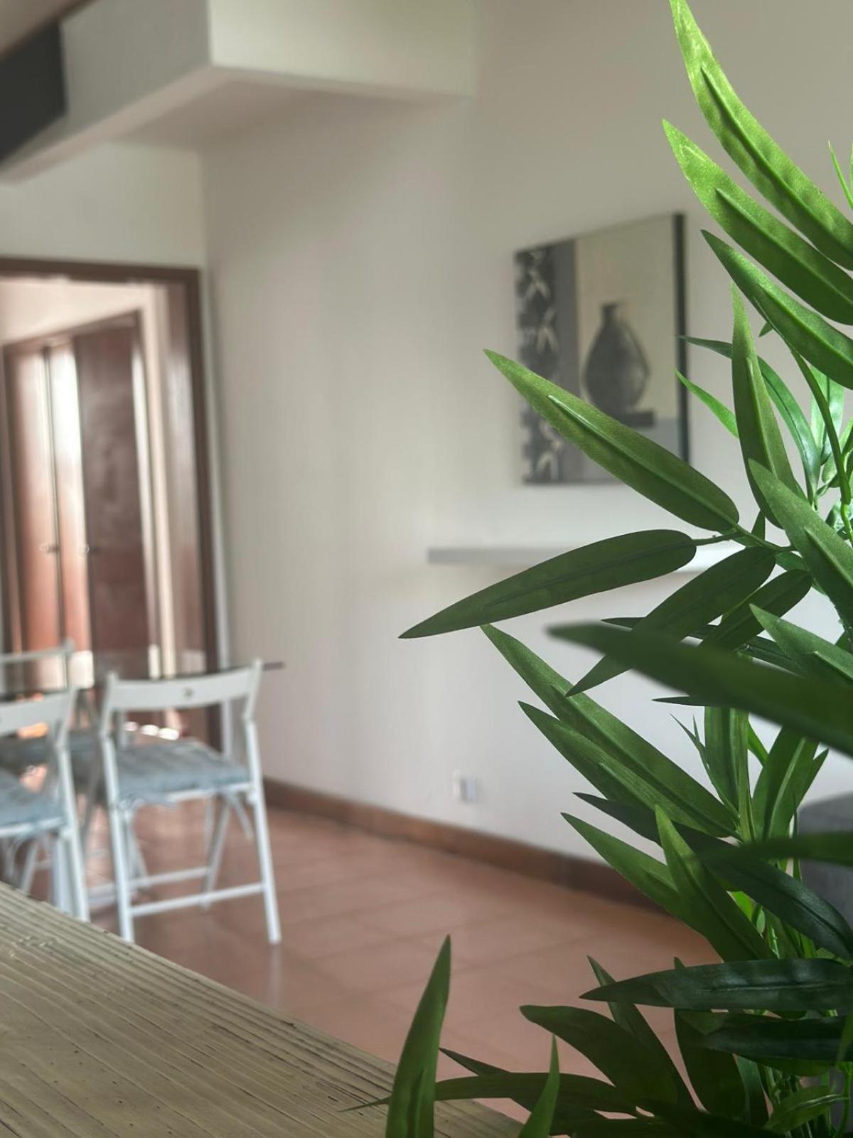 Ponta Delgada Azores Pedra Apartments - T0 E T1 מראה חיצוני תמונה
